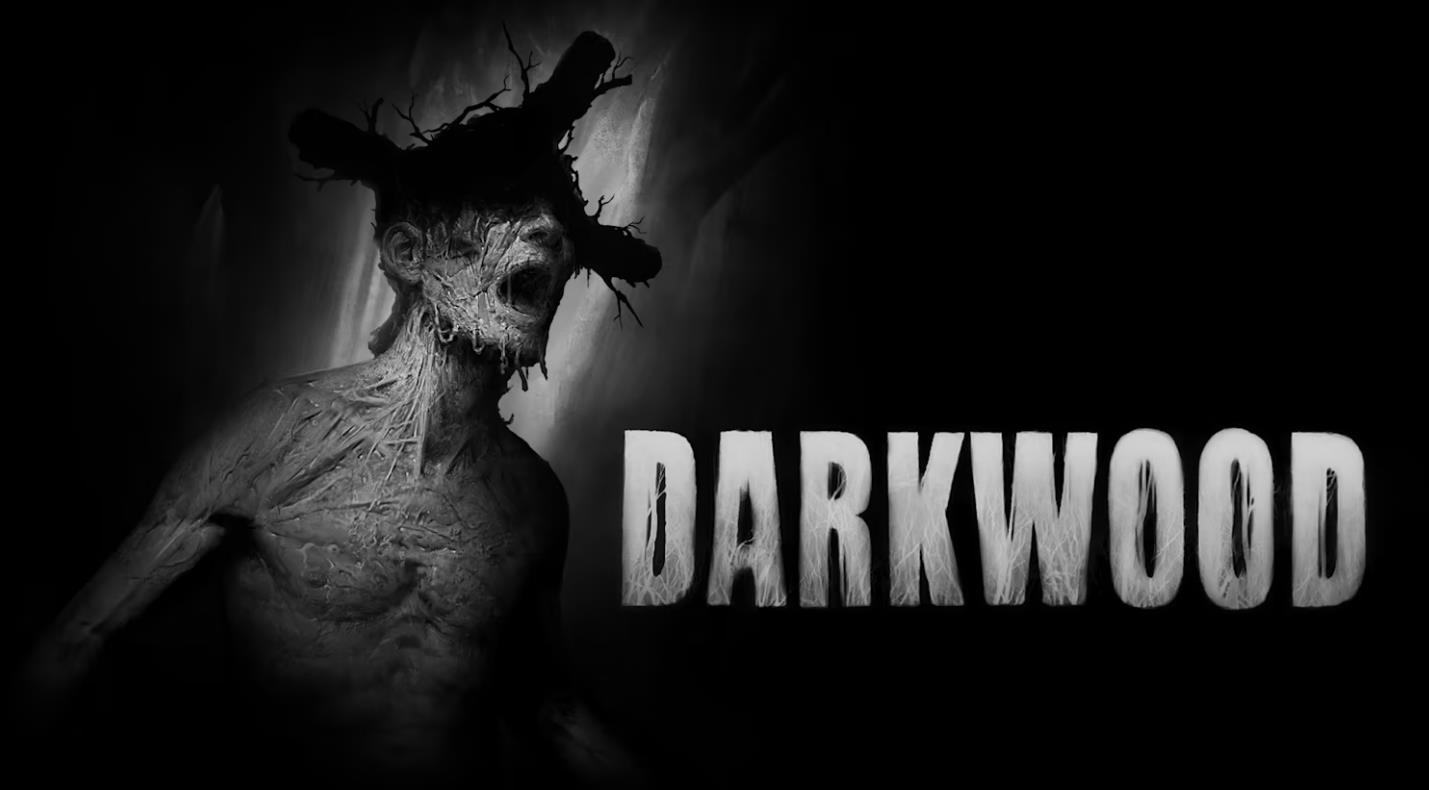 阴暗森林 Darkwood_1