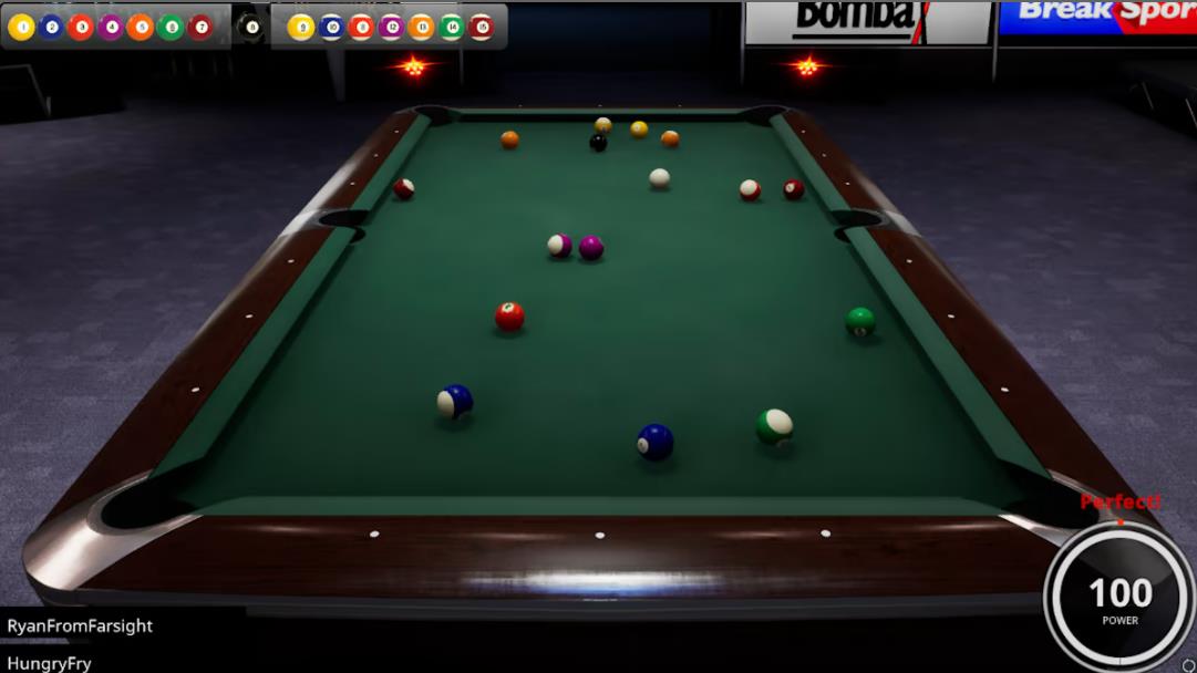 Brunswick Pro Billiards_1