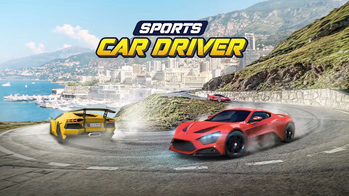 Sports Car Driver_2